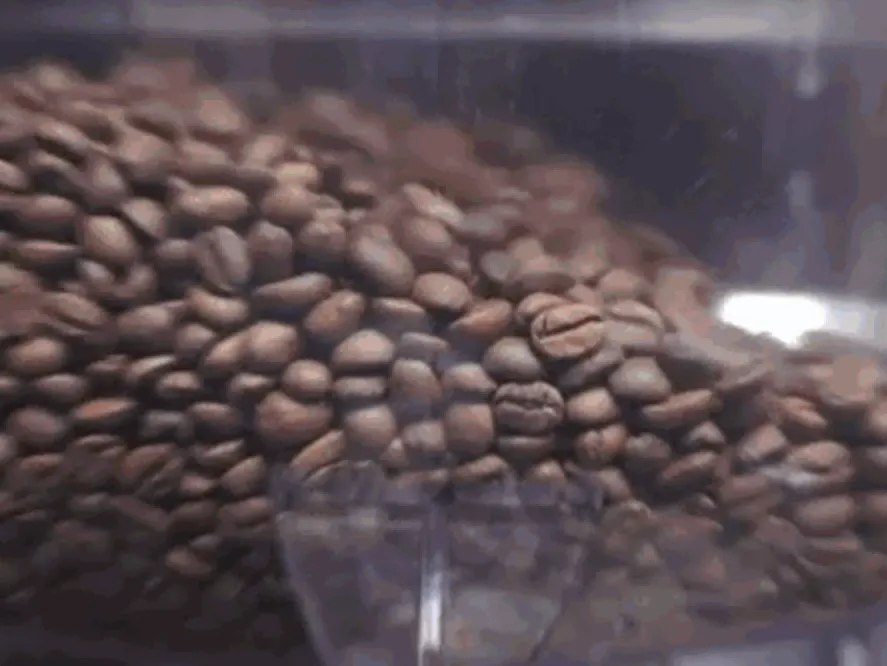 Veľkosť trhu s predajňami kávy