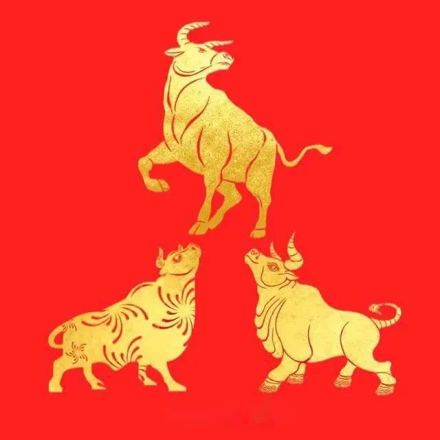 Veľa šťastia na začiatku