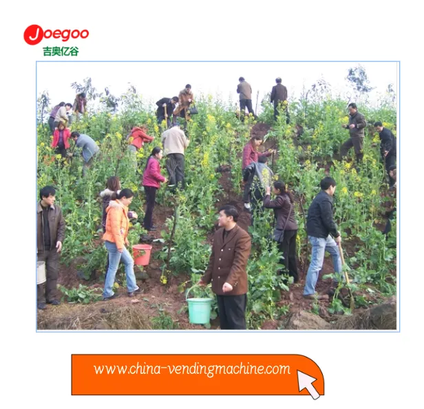 Exportné oddelenie spoločnosti Jeogoo zorganizovalo dobrovoľnú aktivitu pre f...